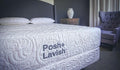 Refine Luxury Latex Mattress by Posh+Lavish